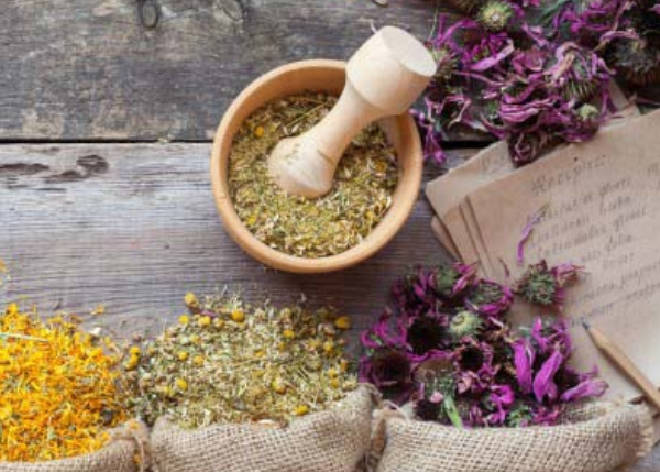 Yoga & Ayurvedic Holiday