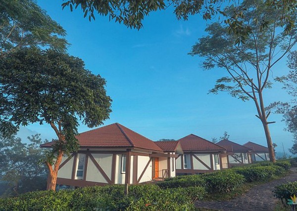 Jeevess Ayurveda Resort