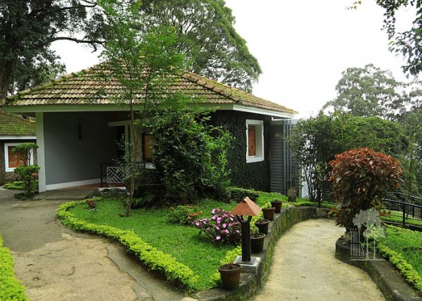 The Tall Trees Resorts