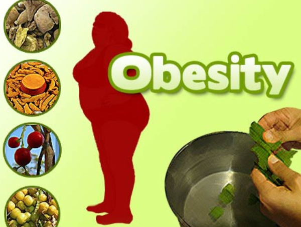Obesity Treatment in Ayurveda
