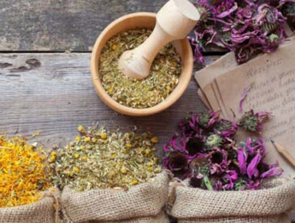 Yoga & Ayurvedic Holiday