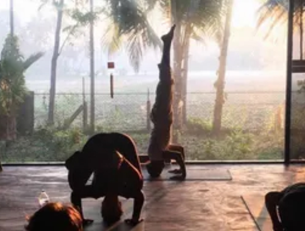 Lifestyle Yoga & Ayurveda Retreat