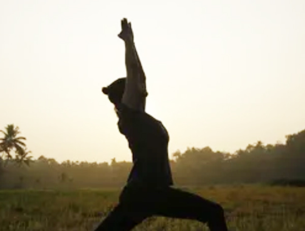 One Light Yoga & Ayurveda Retreat